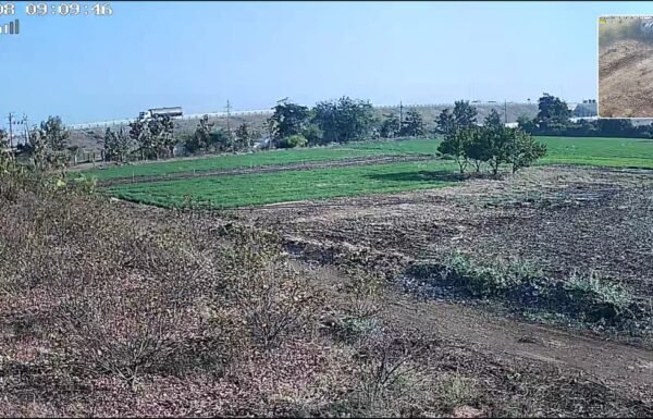 WhatsApp Image 2026-04-20 at 9.03.20 AM