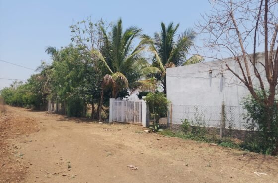 Lake View Farmhouse for Sale in Malkhed Amravati