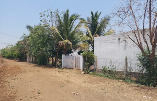 WhatsApp Image 2026-04-26 at 2.22.31 PM