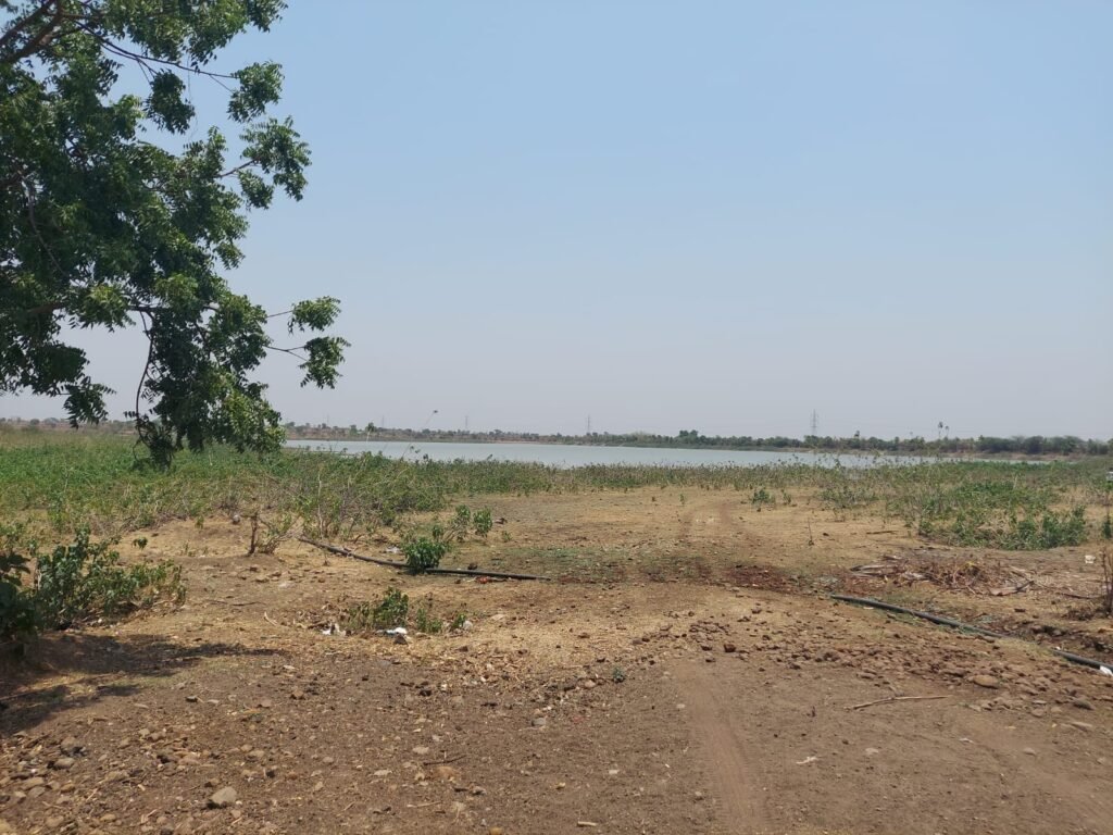 WhatsApp Image 2026-04-26 at 2.22.32 PM